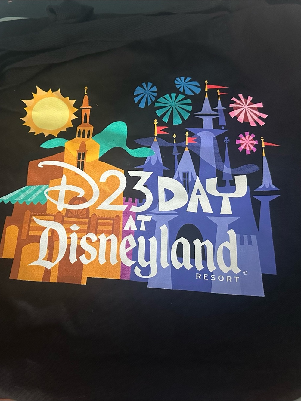 D23 Day at Disneyland Resort Graphic Tee - Colorful Castle Print